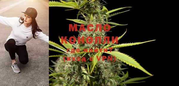 индика Сясьстрой